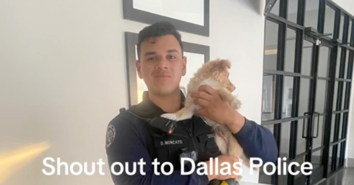 TikTok creator @jessicamlynnr shares footage photo of Dallas Police Officer holding abandoned puppy