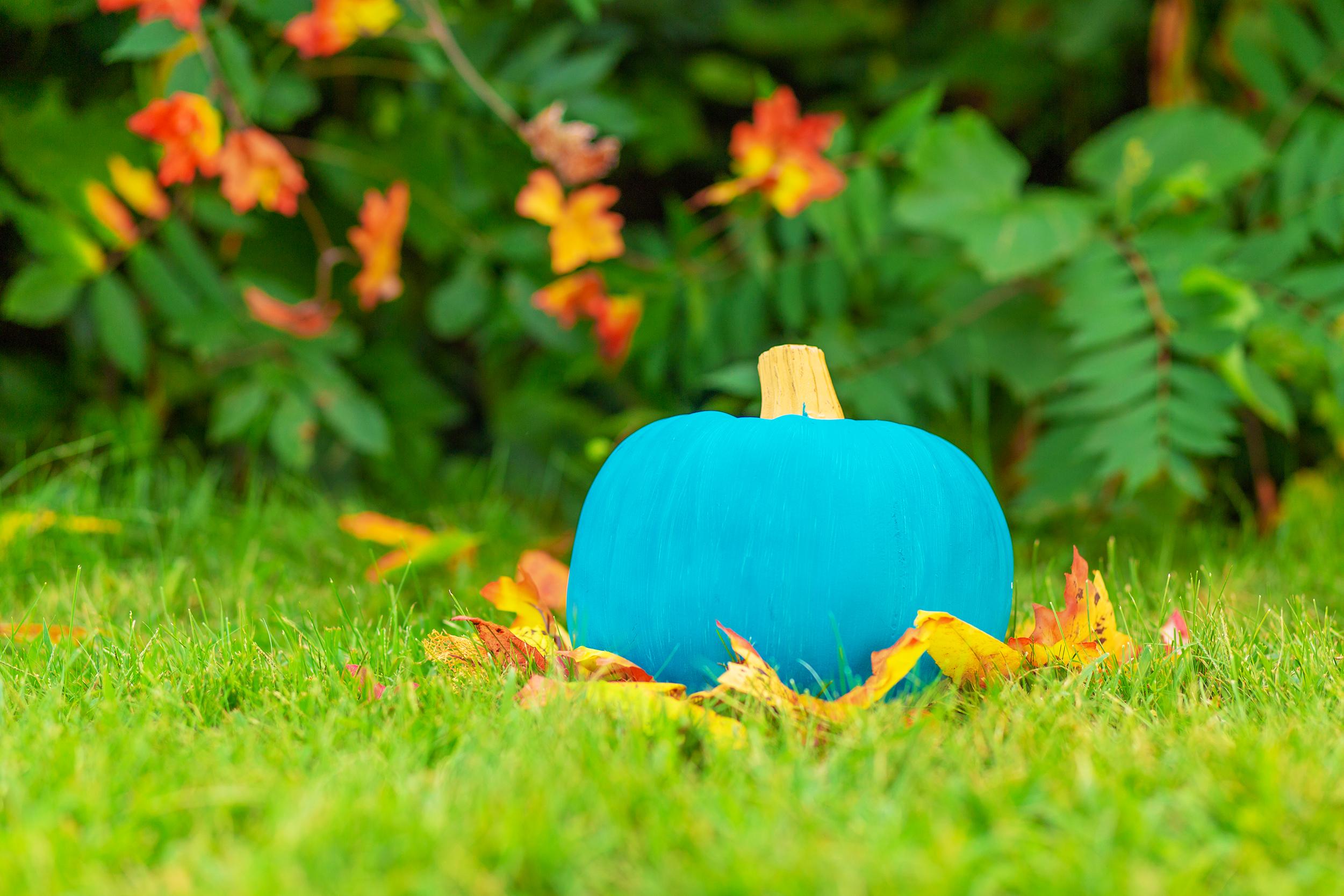 the-best-non-food-teal-pumpkin-treat-ideas-to-use-this-halloween