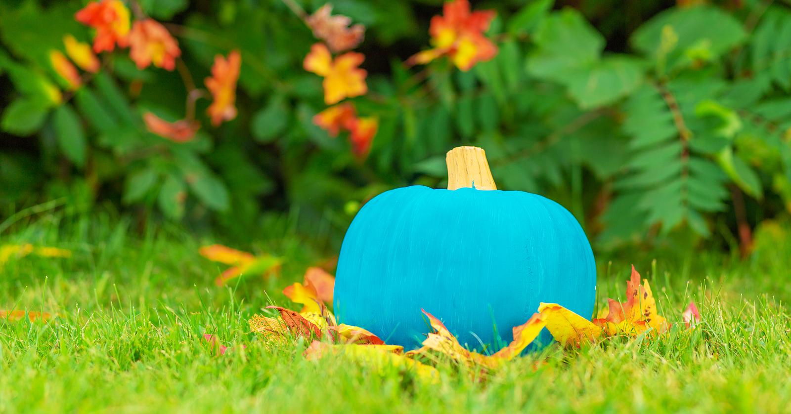 the-best-non-food-teal-pumpkin-treat-ideas-to-use-this-halloween
