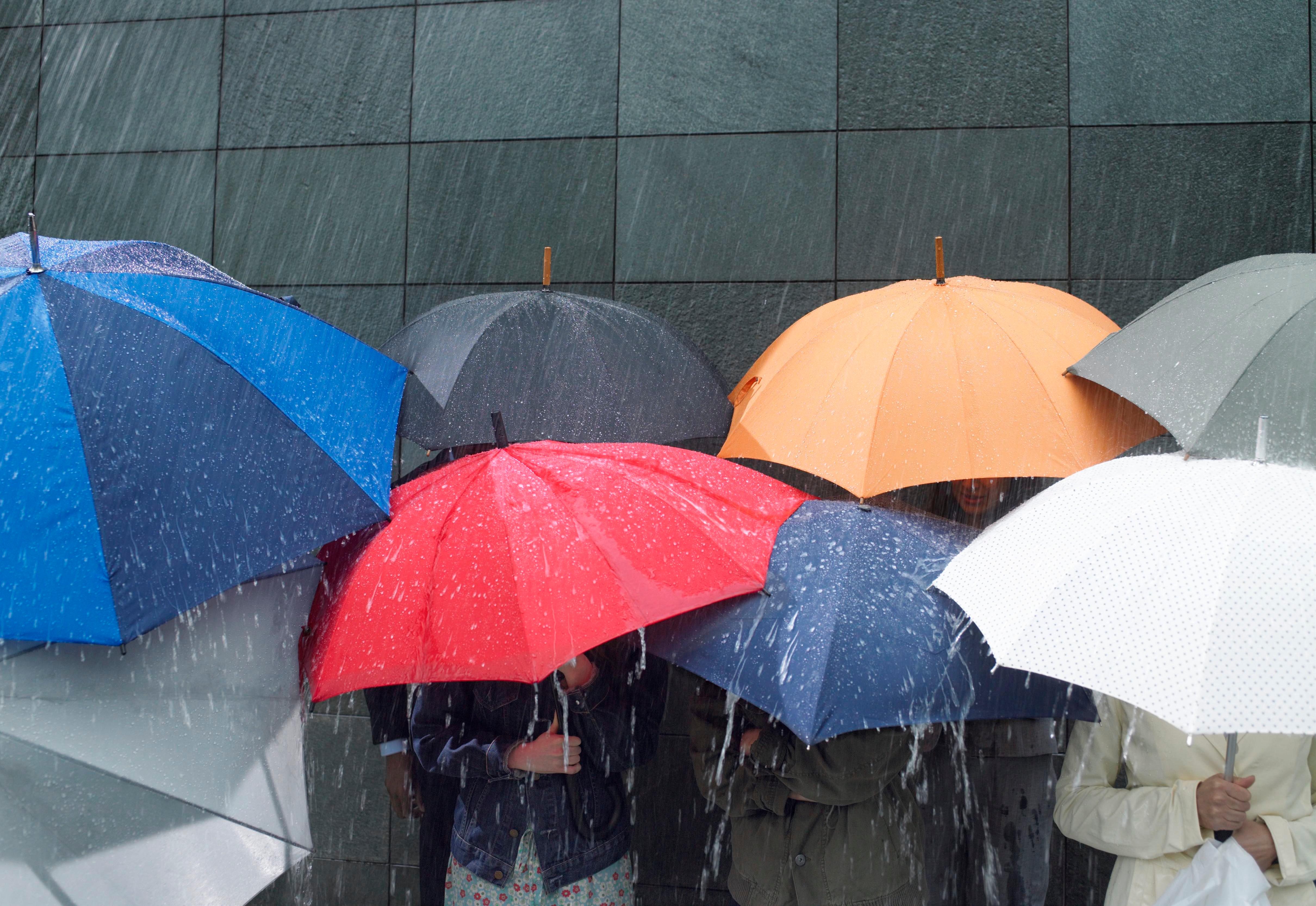 A group of people under umbrellas in rain.