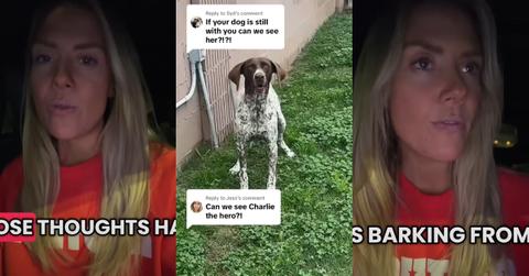 Mom’s Planning and Dog Saved Her Family From a Home Intruder