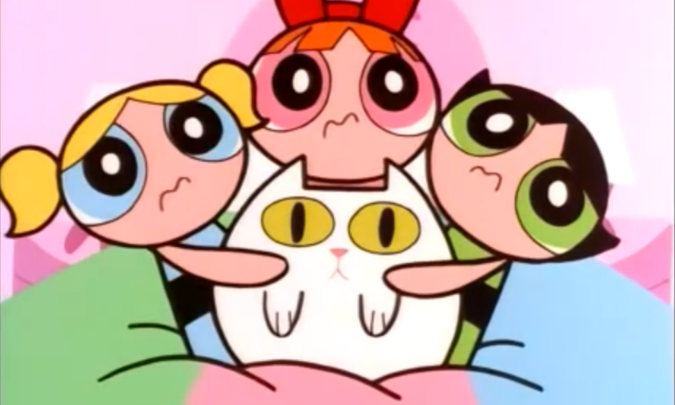 powerpuff girls facts