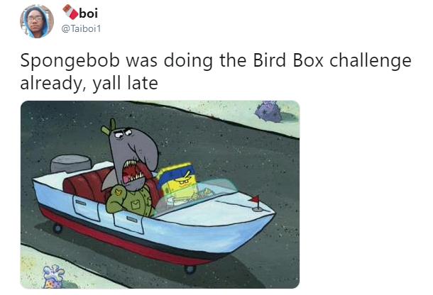 birdbox challenge memes