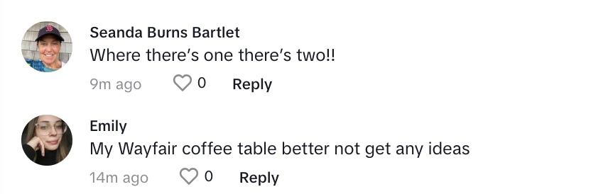 TikTok comments that say: "When there's one there's two," and "My Wayfair coffee table better not get any ideas."