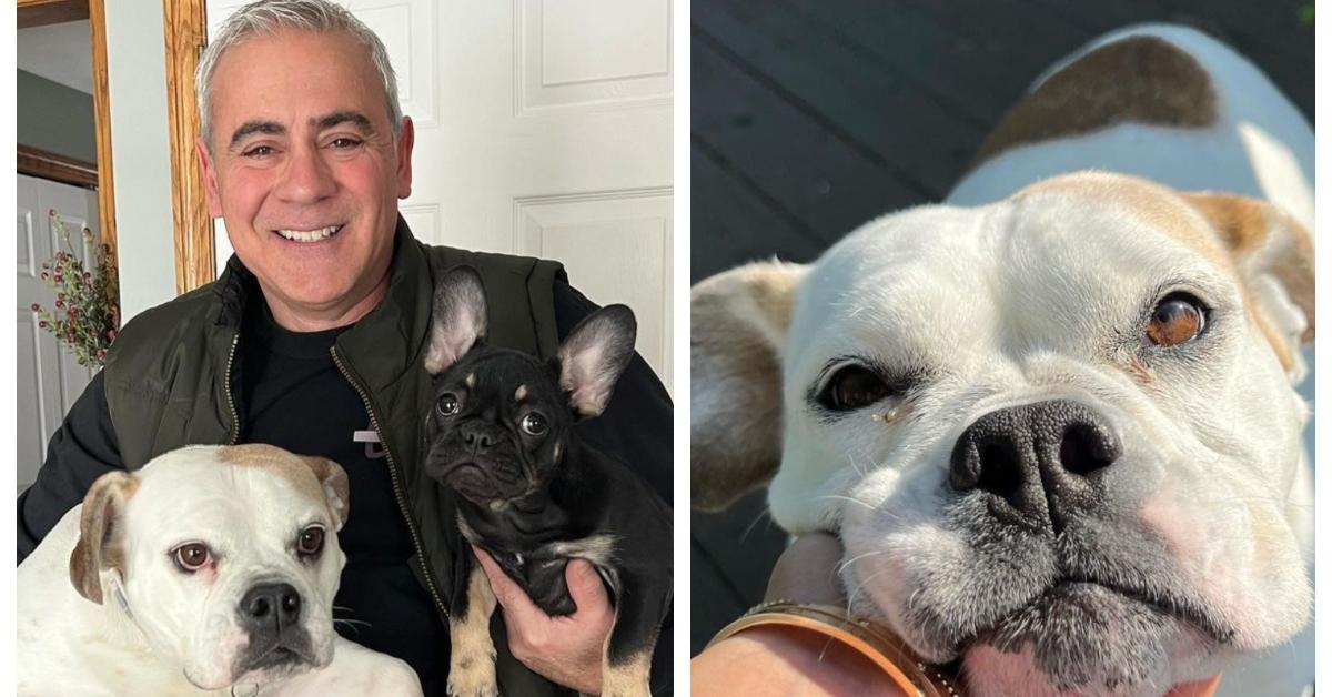 (L-R): John Pappas smiles with his dog Cookie as well as Steph Pappas's dog; Cookie