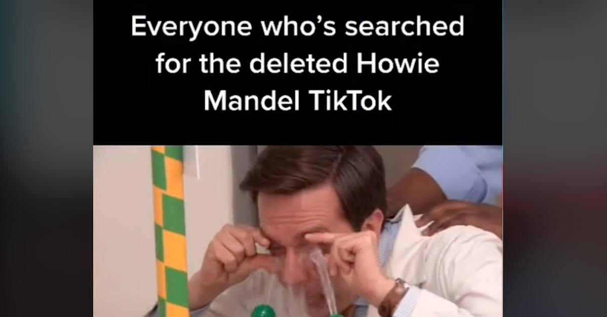 meme of someone washing eyes with text that reads "everyone who's searched for the deleted Howie Mandel TikTok"