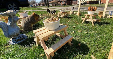 featured-squirrel-restaurant-1586974927025.jpg