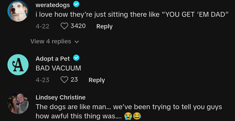 dog owner yells at vacuum tiktok