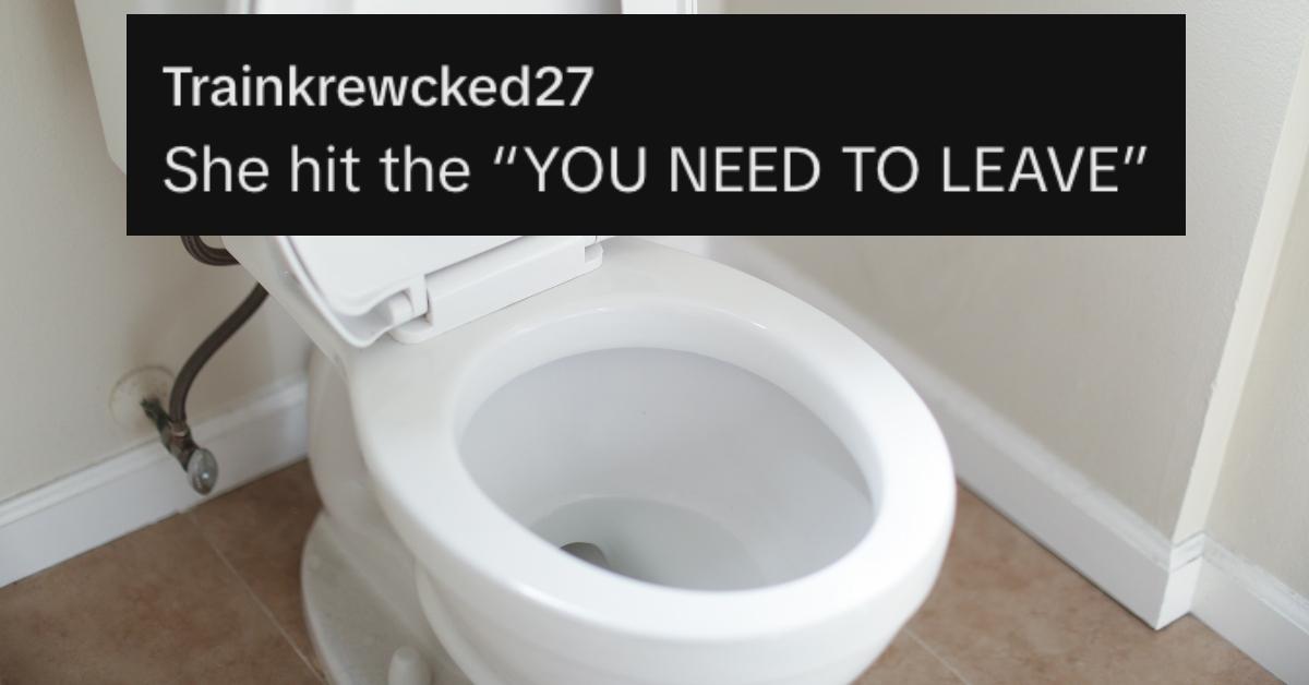 Screenshot of comment under TikTok about woman not letting contractor use bathroom and photo of toilet