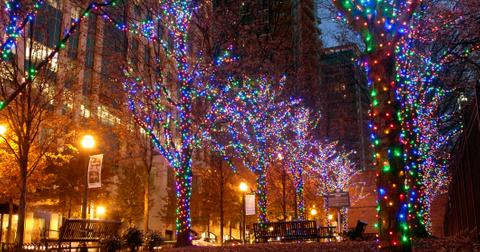 christmas tree lighting near me