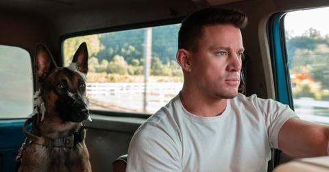 Channing Tatum as U.S. Army Ranger Jackson Briggs and Lulu in 'Dog'