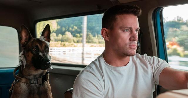 Does the Dog Die in the Movie 'Dog'? We Have All the Answers