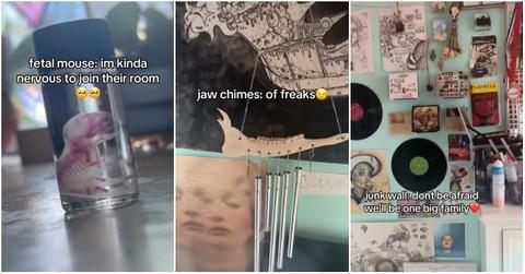 TikToker shows off a fetal mouse in the "scared to join this room" trend.