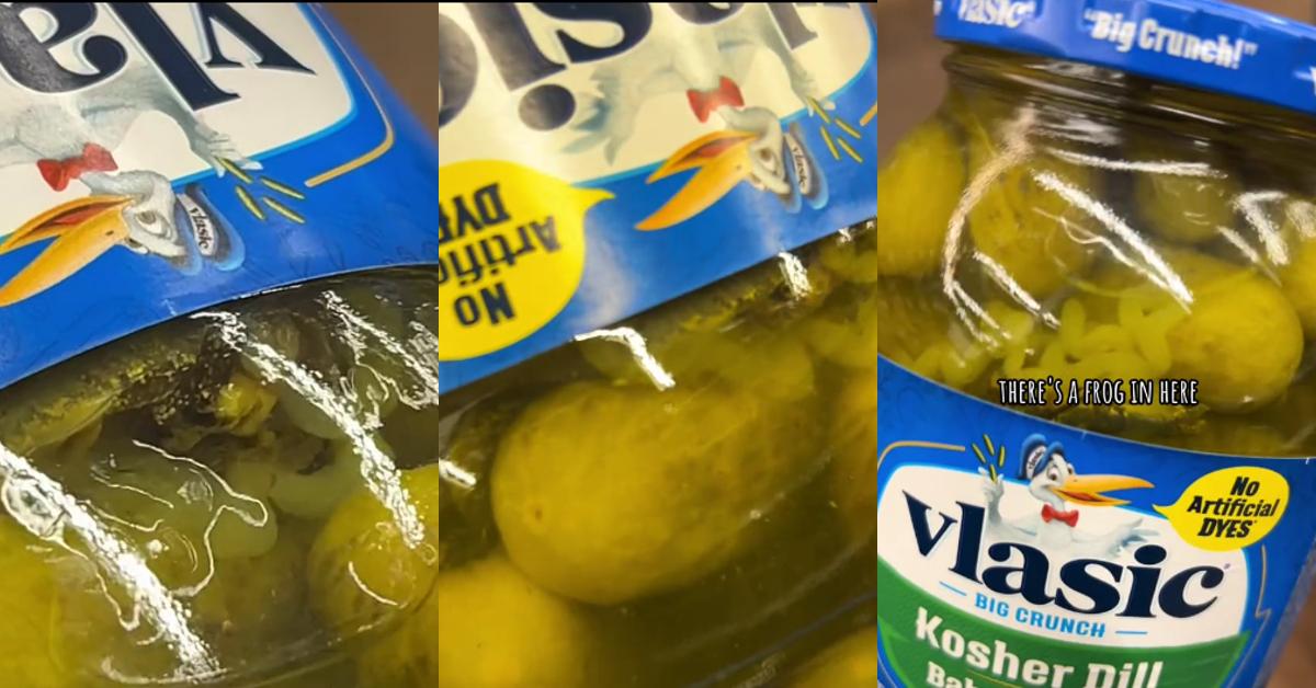 “That’s a Frog!” — Woman Finds Amphibian Inside a Vlasic Pickle Jar