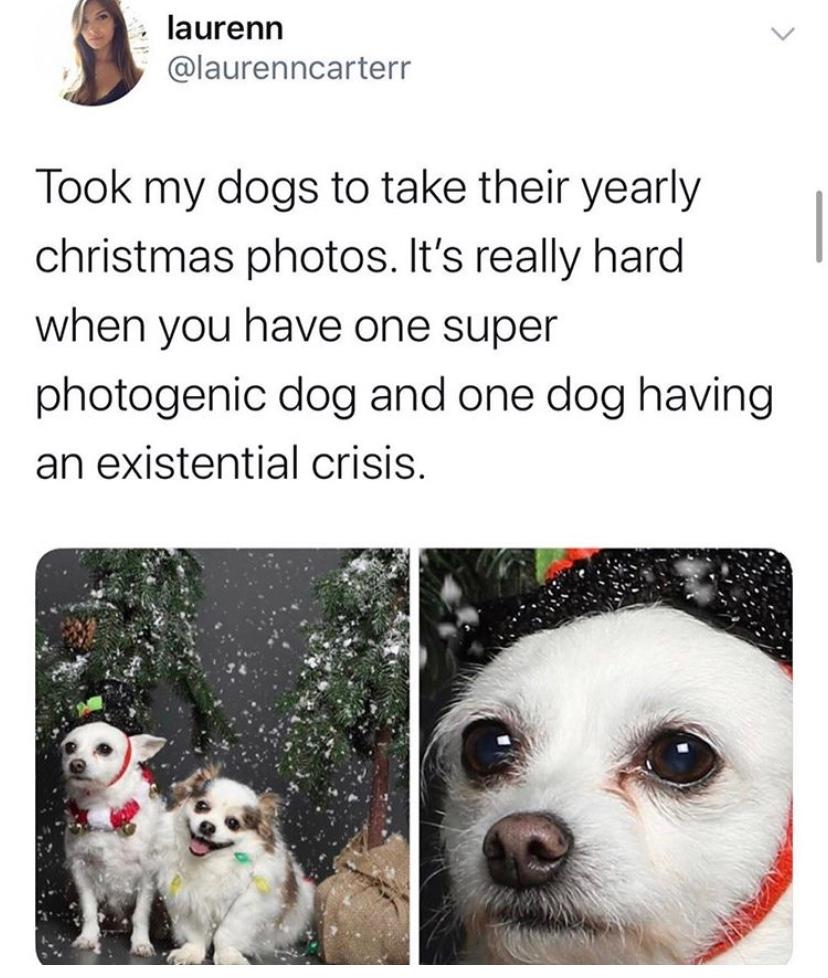 cute christmas memes