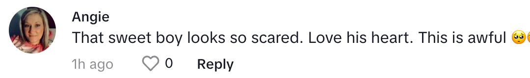 A commenter on Carey's TikTok