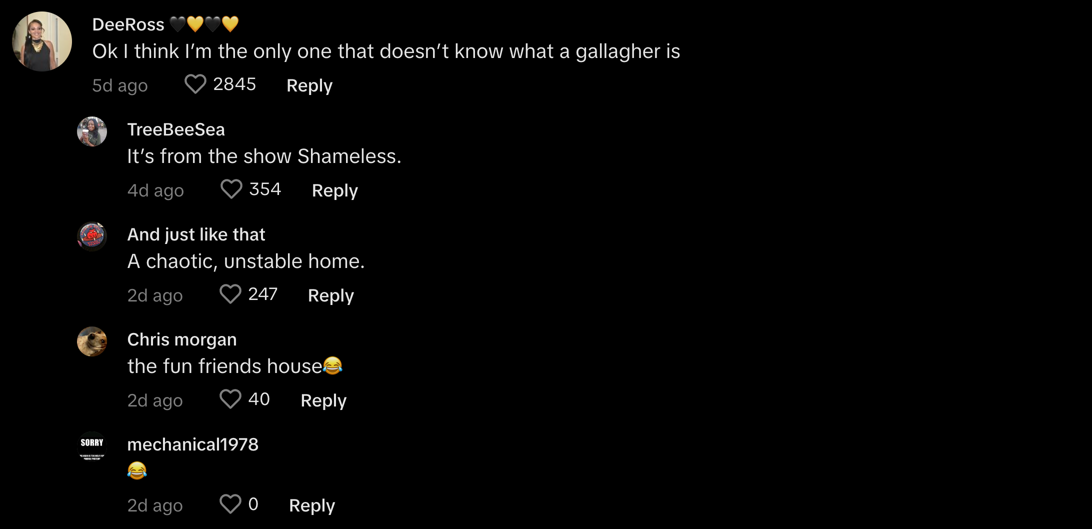 Gallagher child meaning on TikTok explained in comments