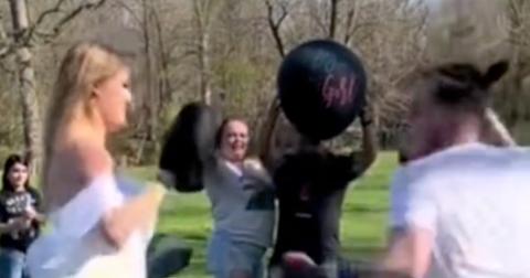 gender reveal boxing