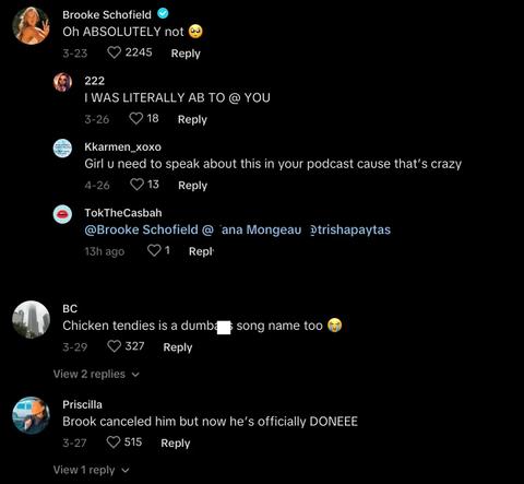 TikTok commenters including Brooke Schofield reply to Ansley's video about Clinton Kane DMing with her minor sister when she was 15 and he was 18