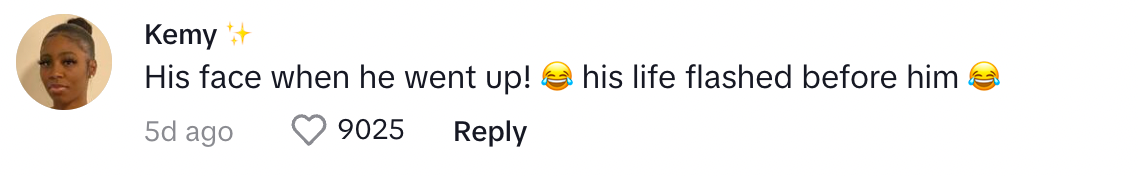 A TikTok commenter on Bri's post about getting her dad to wear a seatbelt