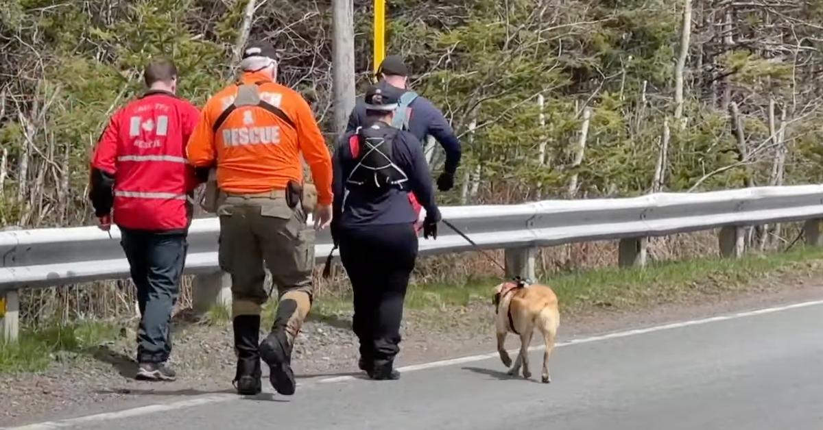 Search and rescue team looking for Lily and Jack Sullivan