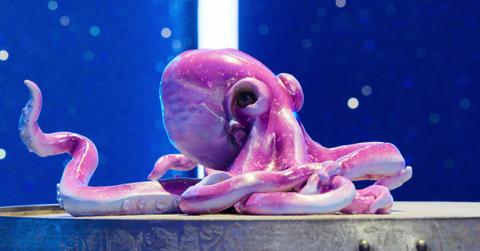 An octopus cake featured on 'Is It Cake?'