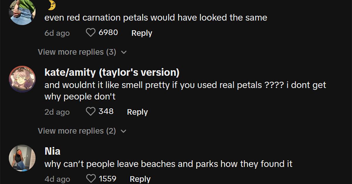 TikTok comments about fake rose petals on beach after proposal