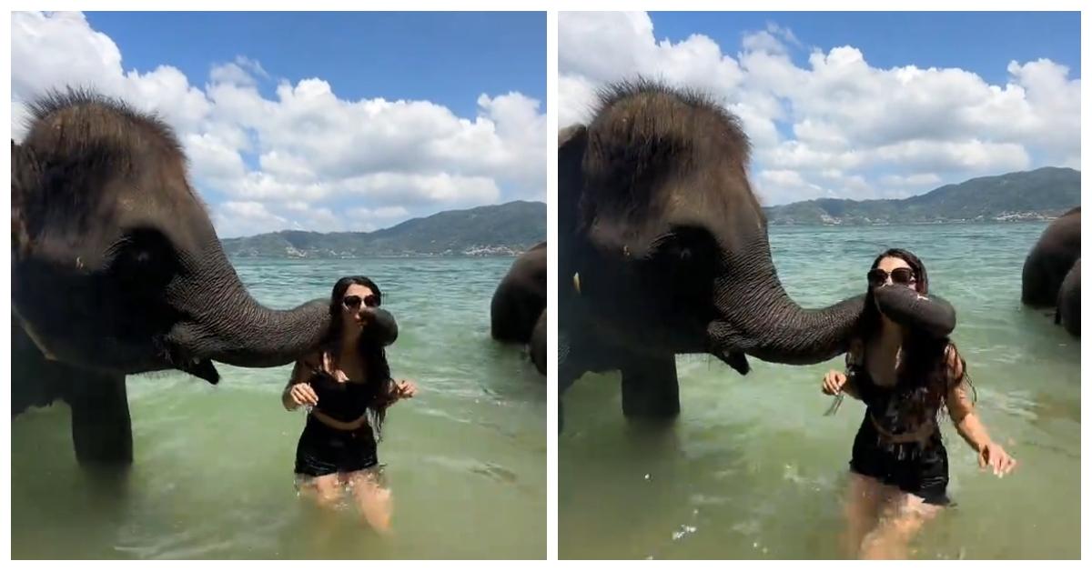 Jet2 Holiday trend on TikTok: a woman has her face grabbed by an elephant