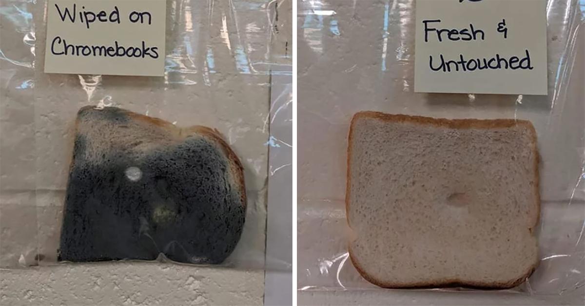 Teacher's "Bread Experiment" Shows Why Washing Your Hands Is so Important