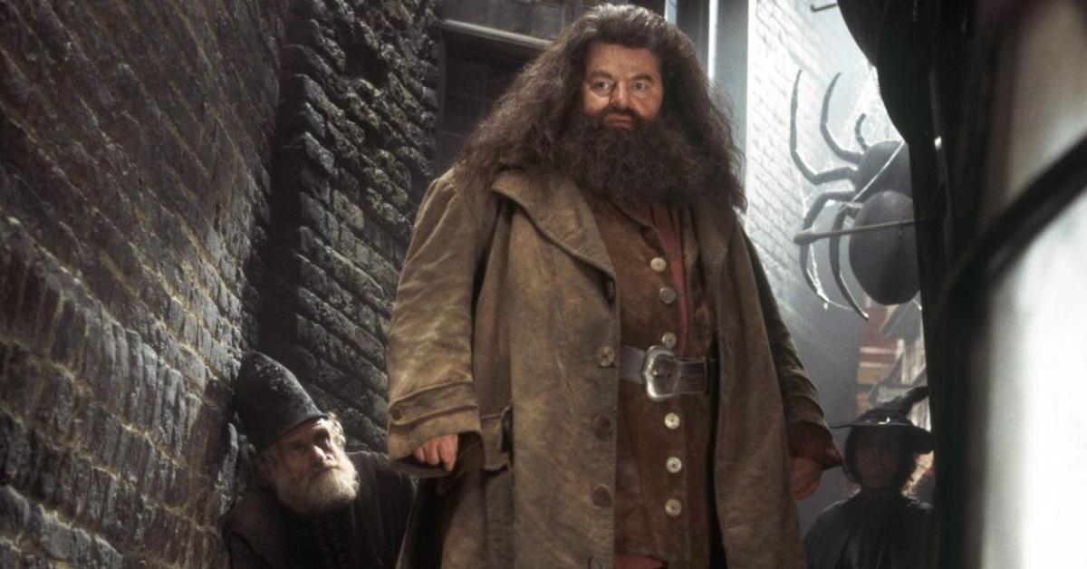 Robbie Coltrane as Rubeus Hagrid in 'Harry Potter and the Chamber of Secrets.'
