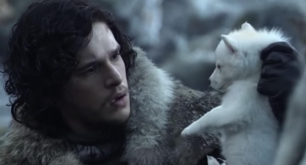 Where Is Ghost On Game Of Thrones Jon Snow s Wolf Back For Season 8