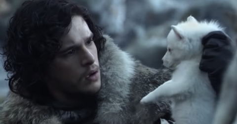 Where Is Ghost On Game Of Thrones Jon Snow S Wolf Back For Season 8