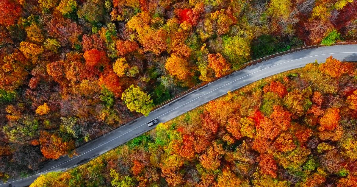 Fall Foliage Near Me? Here Are the Best Places to Check It ...