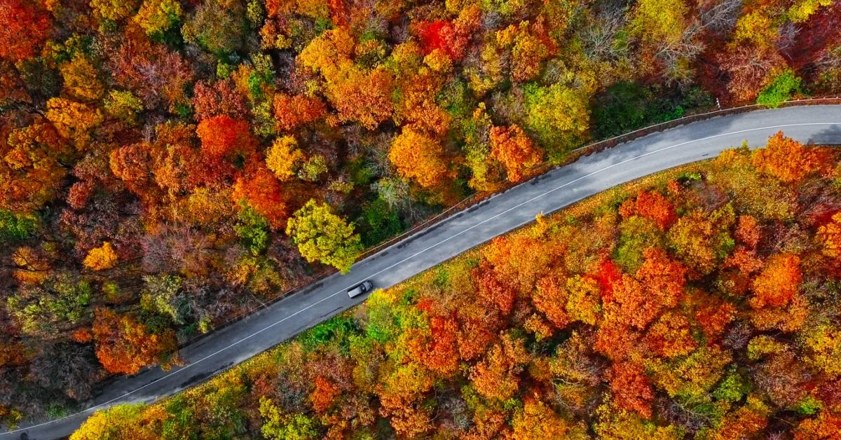 5 Of The Best Places To See Fall Foliage In And Around The