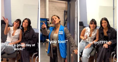 Charli and Dixie D'Amelio pretending to work at Walmart TikTok