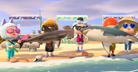 animal-crossing-june-fish-bugs-1590766002126.jpeg