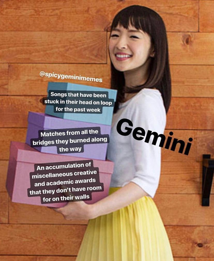 gemini season memes