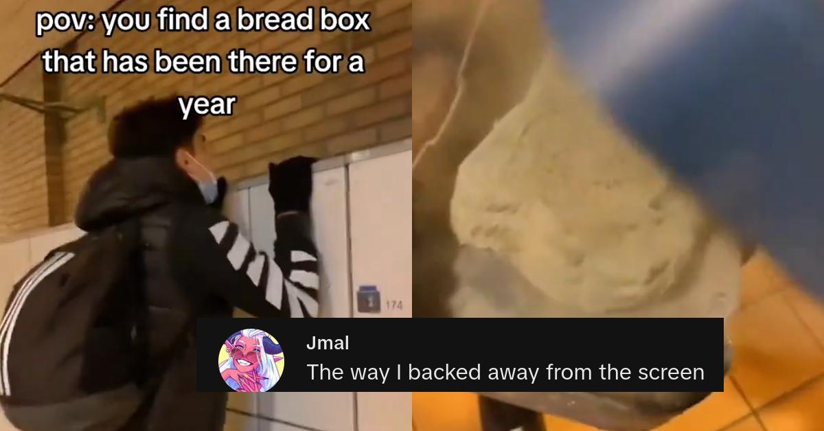 Guy Opens Bread Box That Was Hidden on Top of Locker for a Year