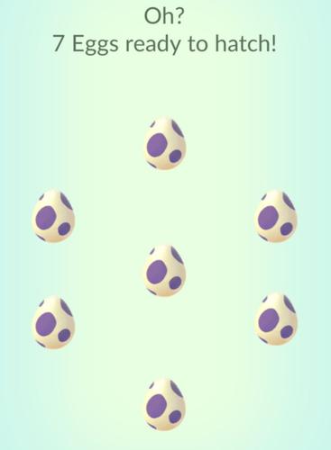 Seven eggs ready to hatch in 'Pokémon GO'