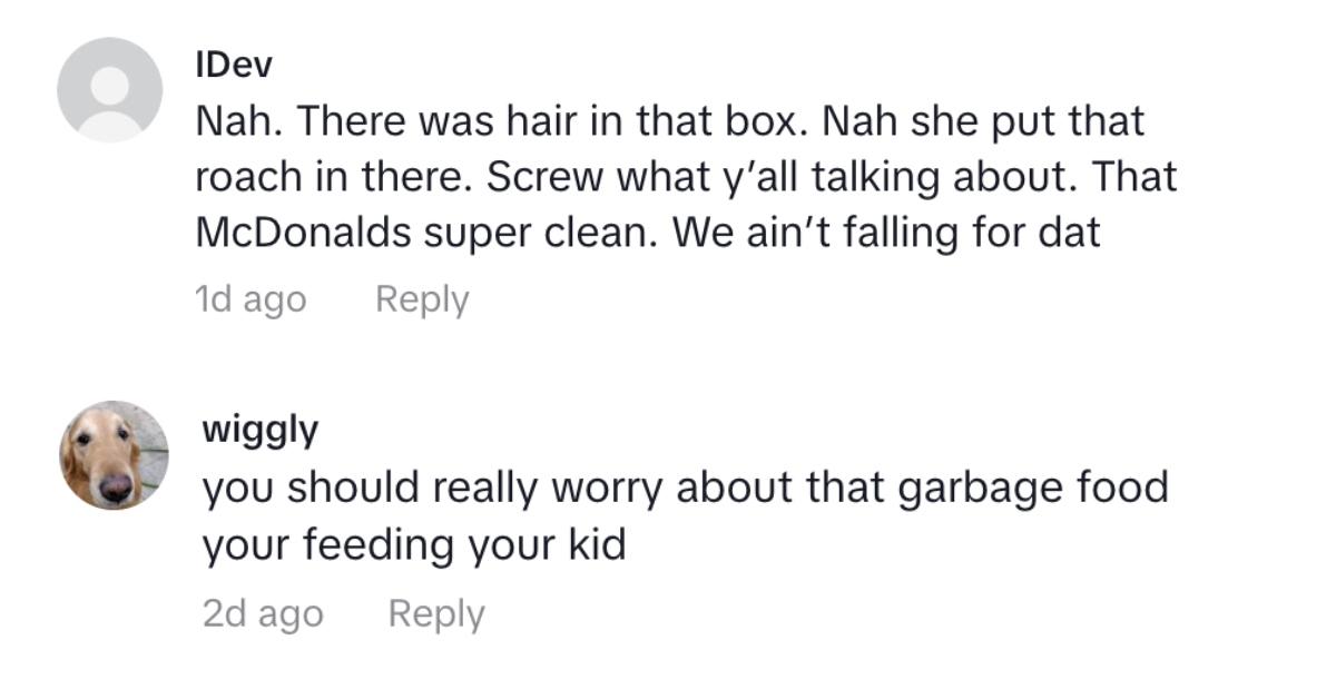 tiktok comments mcdonalds roach mom overreacted