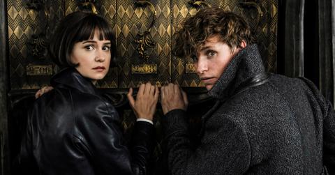 Fantastic beasts