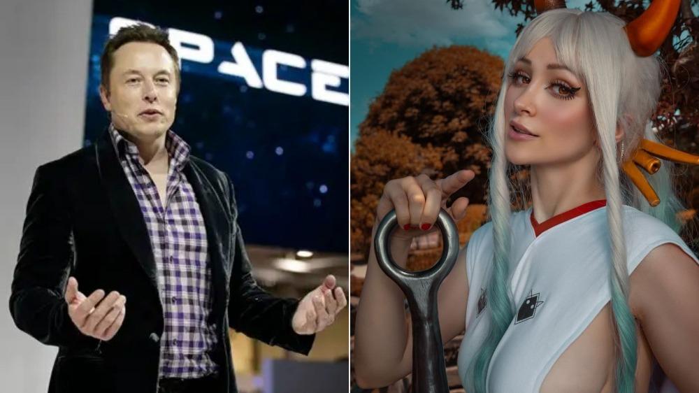 Elon Musk and Susann Alicia