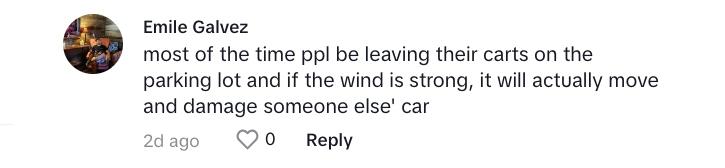 TikTok commenter talks about carts in the parking lot in a comment that says: "Most of the time [people] be leaving their carts in the parking lot and if the wind is strong, it will actually move and damage someone else's car."