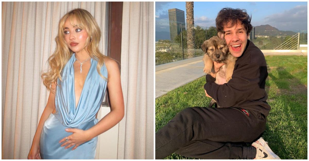 sabrina carpenter in blue dress on the left, david dobrik sitting outside with a puppy on the right