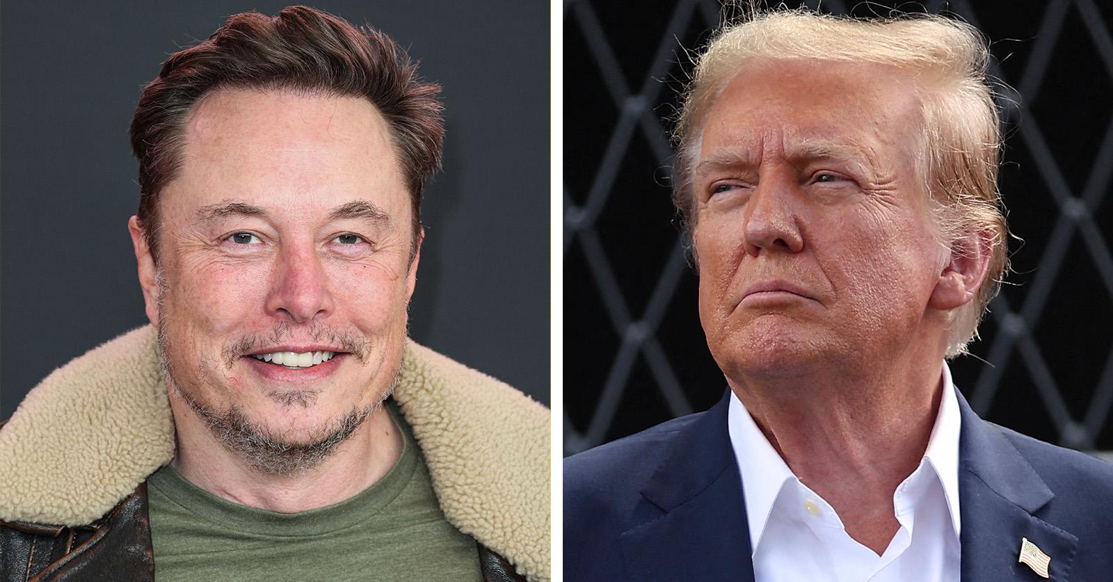 trump elon