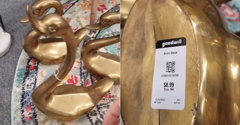TikToker Bronze Swans Goodwill