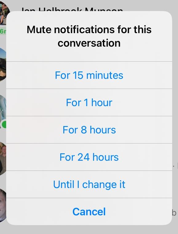 Facebook Messenger Mute