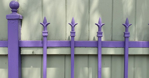 What Does a Purple Fence Mean? What We Know About the Color Choice
