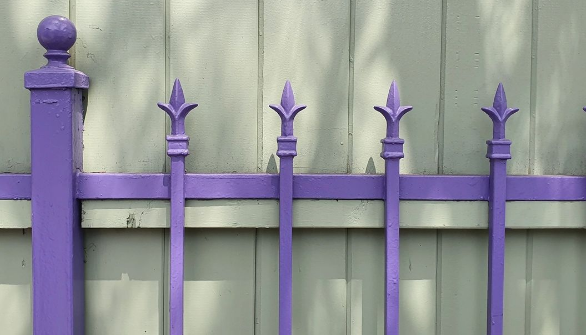 What Does a Purple Fence Mean? What We Know About the Color Choice