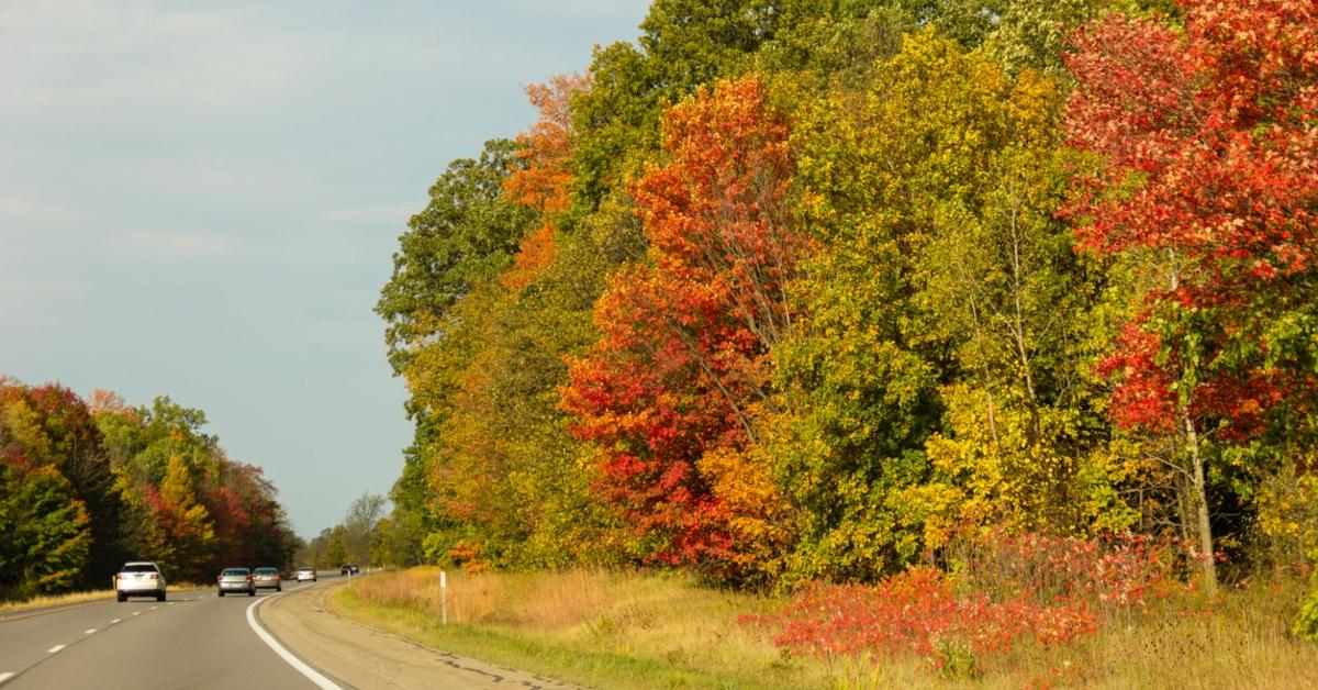 michigan fall foliage